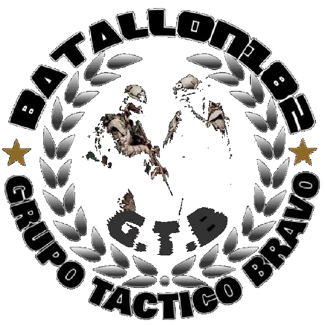 Logo BRAVO]